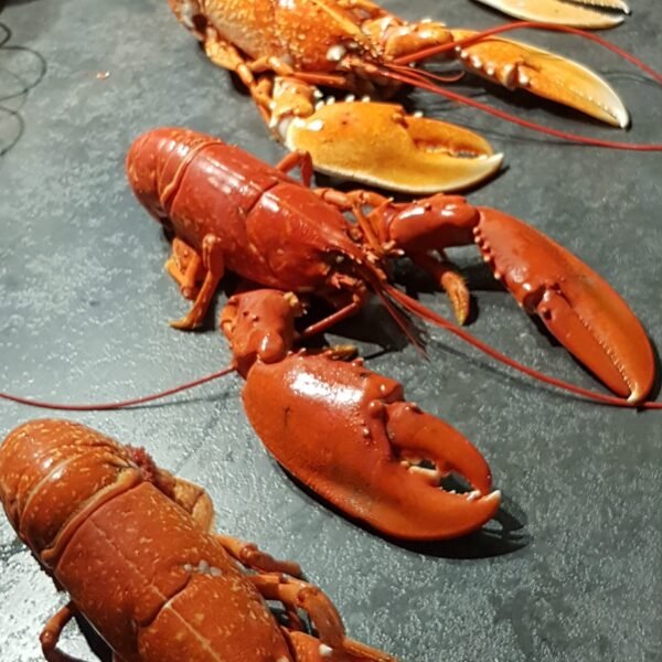 homard Breton