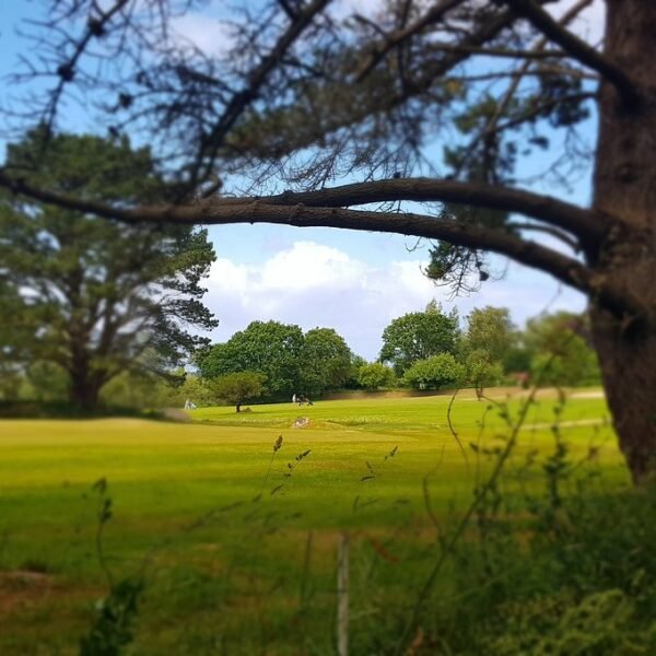 terrain golf saint samson