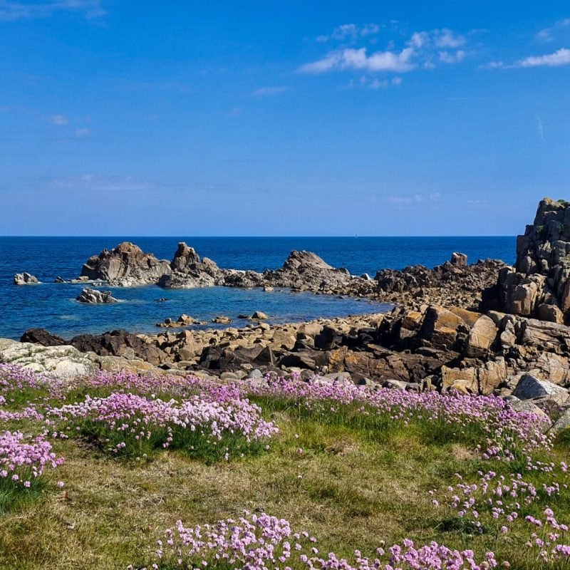 Cadre_photo_TiGlazArmor-4